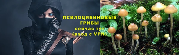 spice Абинск
