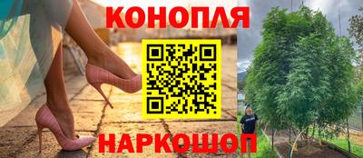 ALPHA PVP Камышлов