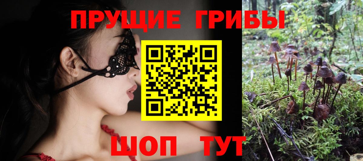 Галлюциногенные грибы мухоморы Ржев